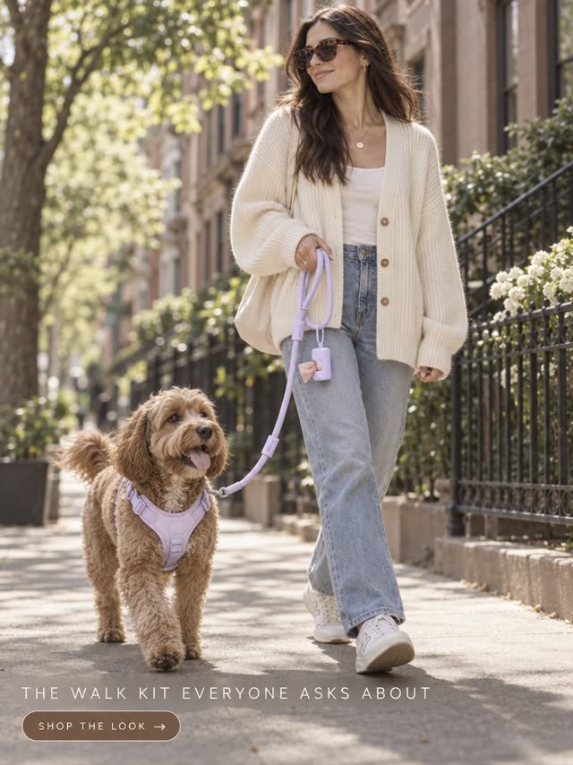 Pet Gear ad sample