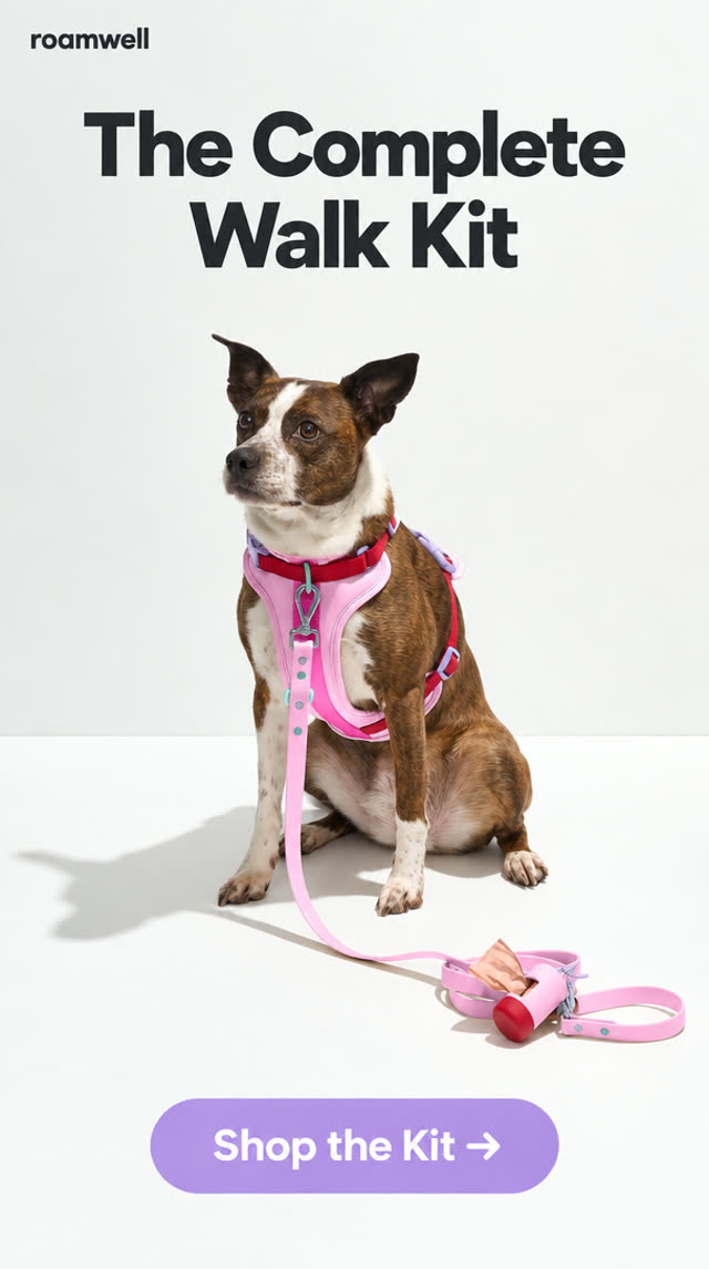 Pet Gear ad sample