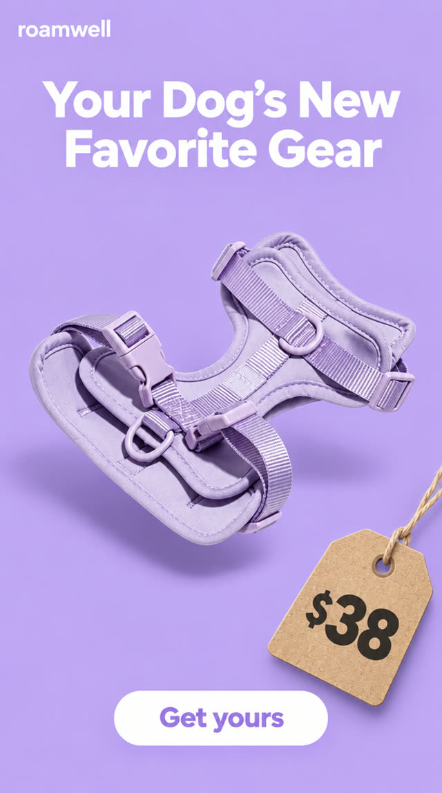 Pet Gear ad sample