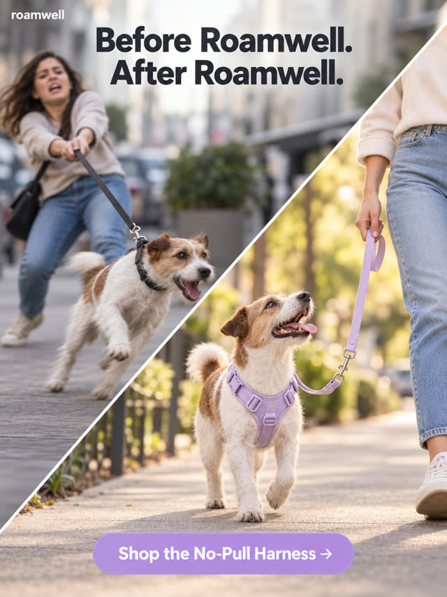 Pet Gear ad sample